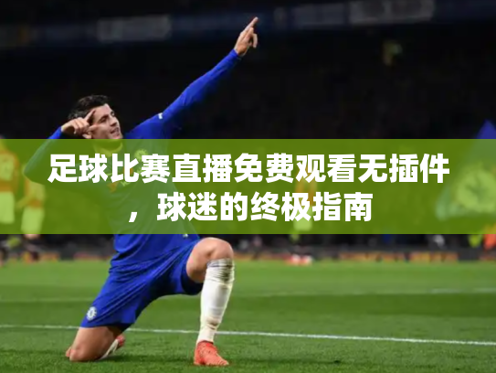 足球比赛直播免费观看无插件，球迷的终极指南