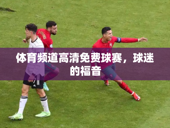 体育频道高清免费球赛，球迷的福音