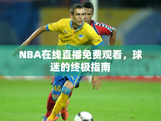 NBA在线直播免费观看，球迷的终极指南