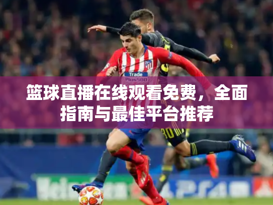 篮球直播在线观看免费，全面指南与最佳平台推荐