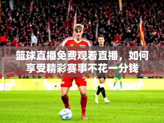篮球直播免费观看直播，如何享受精彩赛事不花一分钱