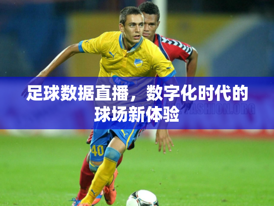 足球数据直播，数字化时代的球场新体验