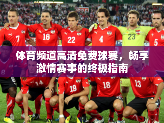 体育频道高清免费球赛，畅享激情赛事的终极指南