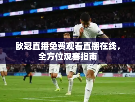 欧冠直播免费观看直播在线，全方位观赛指南