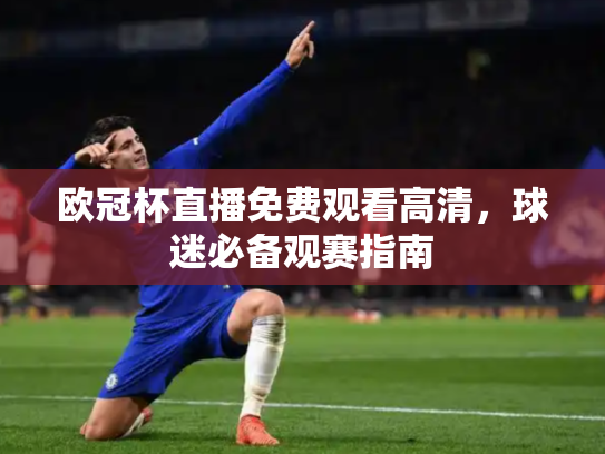 欧冠杯直播免费观看高清，球迷必备观赛指南