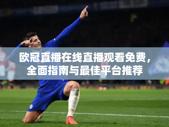 欧冠直播在线直播观看免费，全面指南与最佳平台推荐
