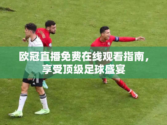 欧冠直播免费在线观看指南，享受顶级足球盛宴