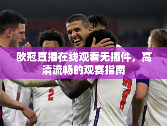 欧冠直播在线观看无插件，高清流畅的观赛指南