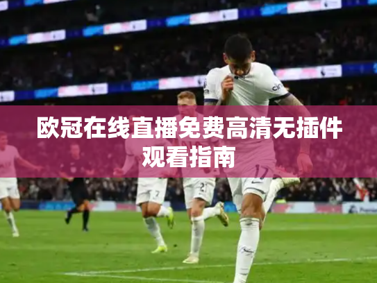 欧冠在线直播免费高清无插件观看指南