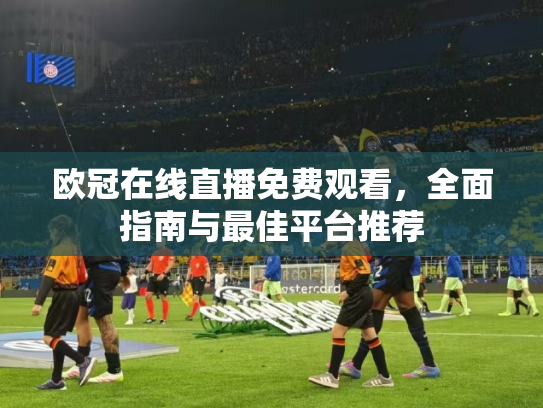 欧冠在线直播免费观看，全面指南与最佳平台推荐