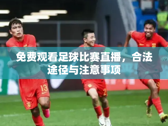 免费观看足球比赛直播，合法途径与注意事项