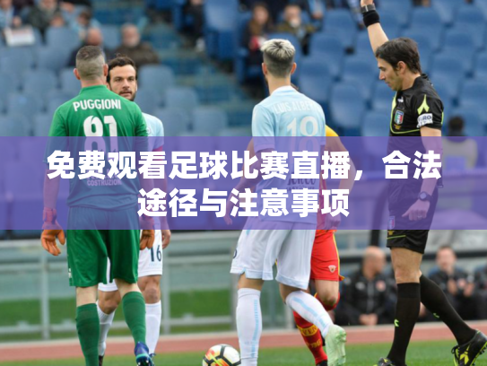 免费观看足球比赛直播，合法途径与注意事项