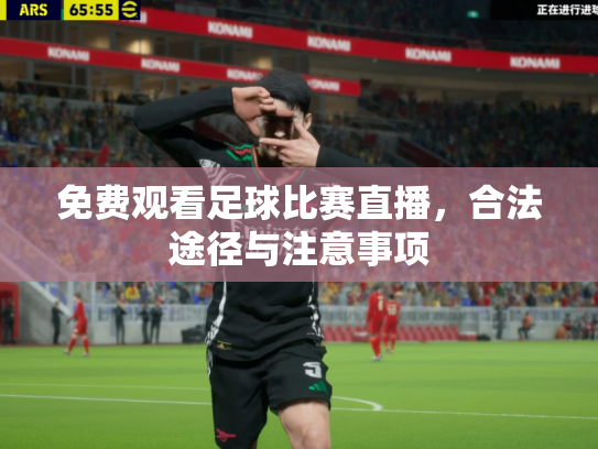 免费观看足球比赛直播，合法途径与注意事项