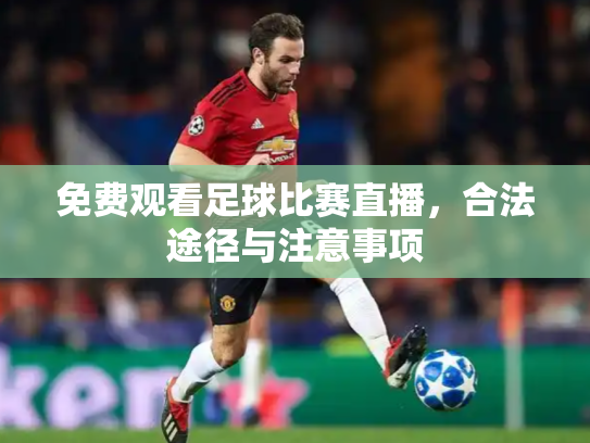 免费观看足球比赛直播，合法途径与注意事项