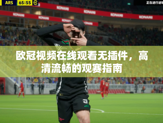 欧冠视频在线观看无插件，高清流畅的观赛指南