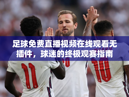 足球免费直播视频在线观看无插件，球迷的终极观赛指南