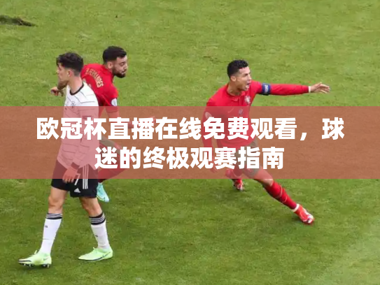 欧冠杯直播在线免费观看，球迷的终极观赛指南
