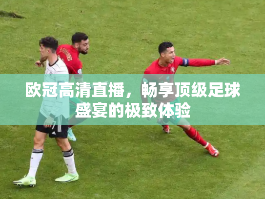欧冠高清直播，畅享顶级足球盛宴的极致体验