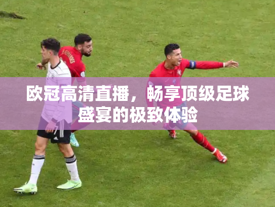 欧冠高清直播，畅享顶级足球盛宴的极致体验
