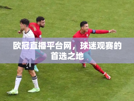 欧冠直播平台网，球迷观赛的首选之地
