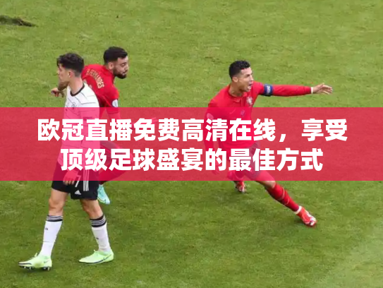欧冠直播免费高清在线，享受顶级足球盛宴的最佳方式