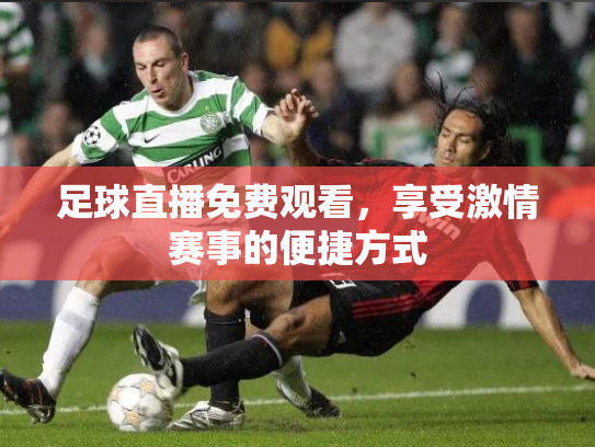 足球直播免费观看，享受激情赛事的便捷方式