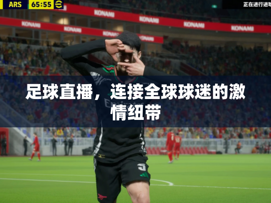 足球直播，连接全球球迷的激情纽带