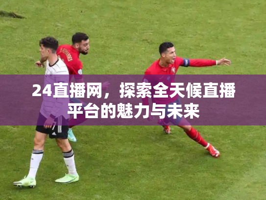 24直播网，探索全天候直播平台的魅力与未来