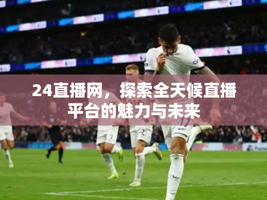 24直播网，探索全天候直播平台的魅力与未来