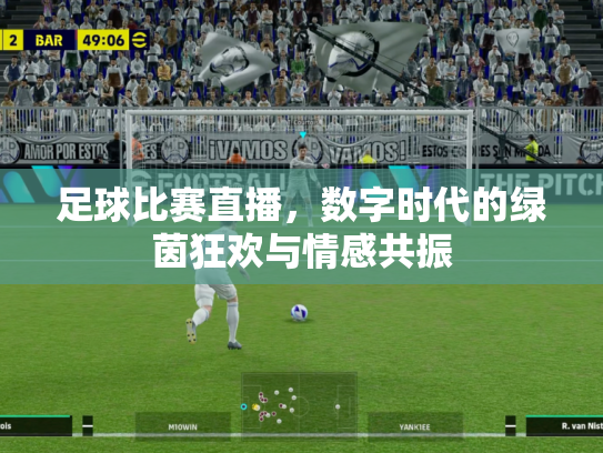 足球比赛直播，数字时代的绿茵狂欢与情感共振