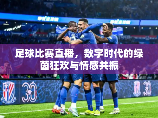 足球比赛直播，数字时代的绿茵狂欢与情感共振