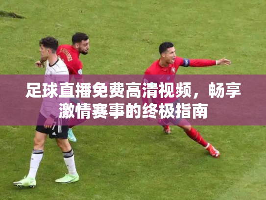足球直播免费高清视频，畅享激情赛事的终极指南