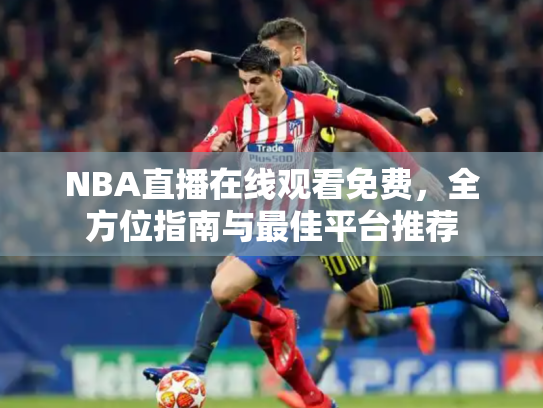 NBA直播在线观看免费，全方位指南与最佳平台推荐