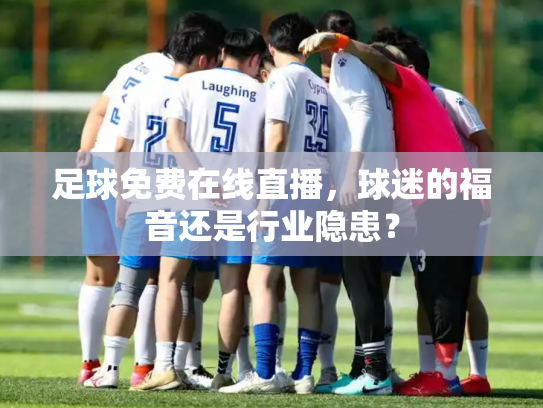 足球免费在线直播，球迷的福音还是行业隐患？