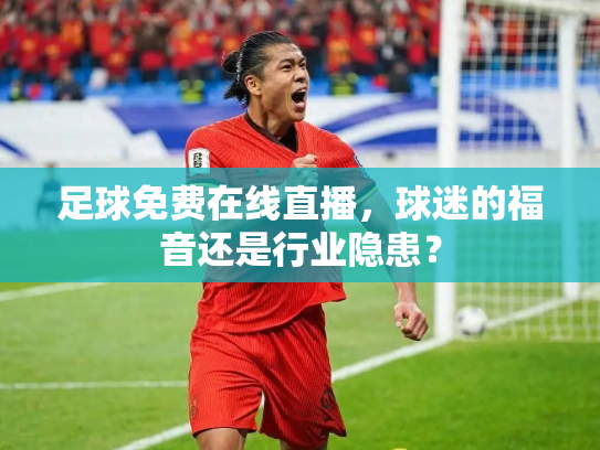 足球免费在线直播，球迷的福音还是行业隐患？