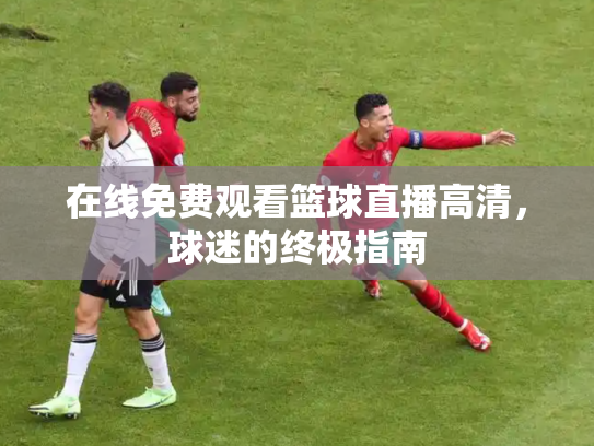 在线免费观看篮球直播高清，球迷的终极指南