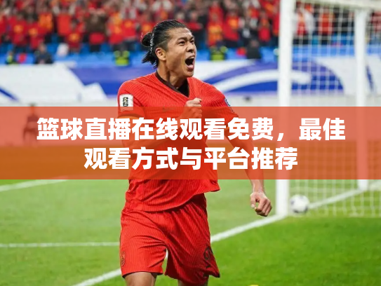 篮球直播在线观看免费，最佳观看方式与平台推荐