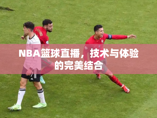 NBA篮球直播，技术与体验的完美结合