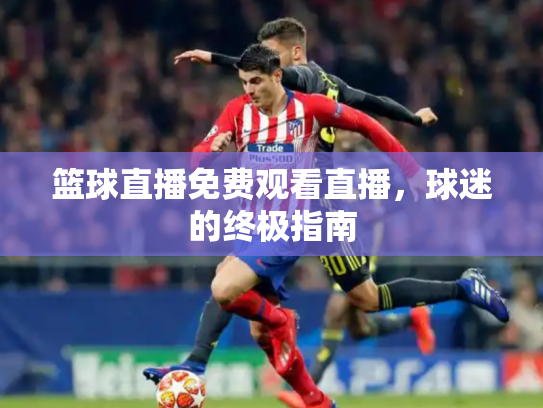 篮球直播免费观看直播，球迷的终极指南