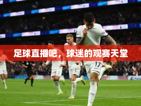 足球直播吧，球迷的观赛天堂