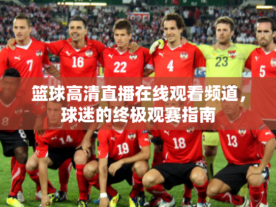 篮球高清直播在线观看频道，球迷的终极观赛指南