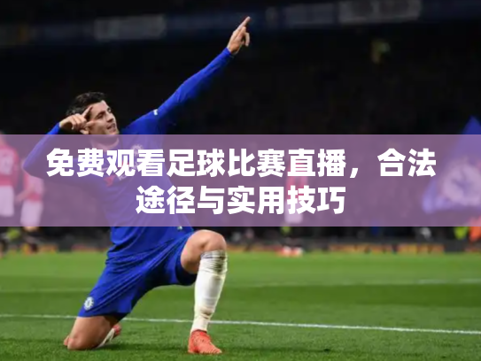 免费观看足球比赛直播，合法途径与实用技巧