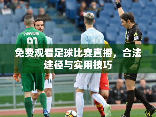 免费观看足球比赛直播，合法途径与实用技巧