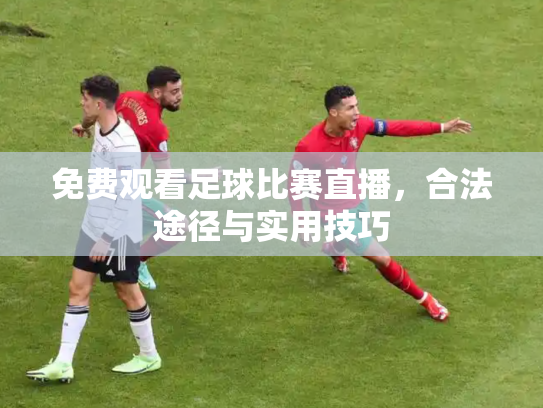 免费观看足球比赛直播，合法途径与实用技巧