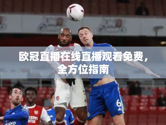 欧冠直播在线直播观看免费，全方位指南