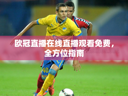 欧冠直播在线直播观看免费，全方位指南