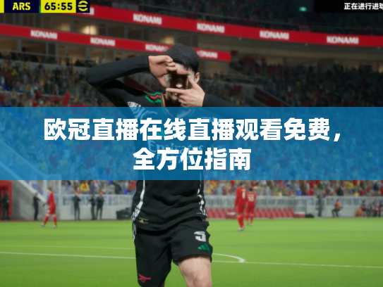 欧冠直播在线直播观看免费，全方位指南