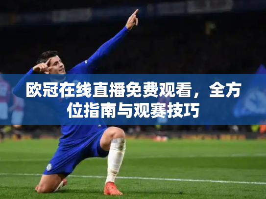 欧冠在线直播免费观看，全方位指南与观赛技巧