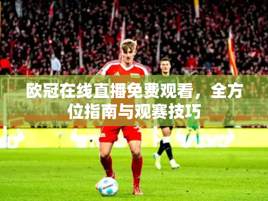 欧冠在线直播免费观看，全方位指南与观赛技巧