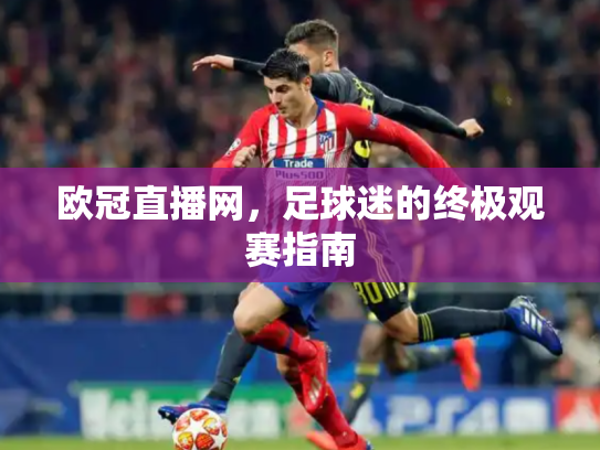 欧冠直播网，足球迷的终极观赛指南